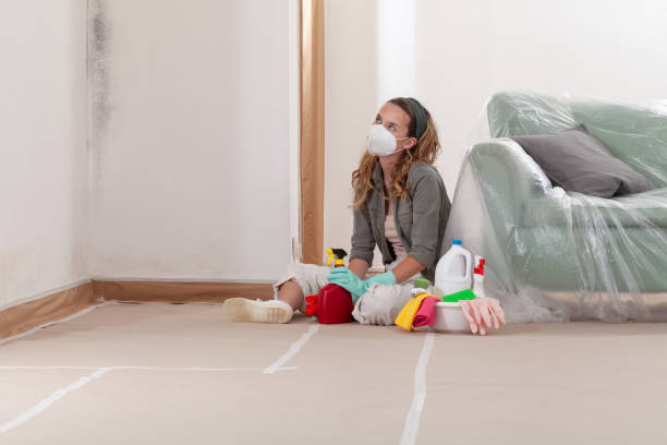 Reliable Basement Mold Remediation contractor in Demarest, NJ by WQB Mold Removal